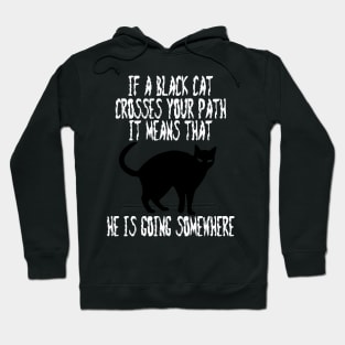 If a Black Cat Crosses Your Path It Means That He Is Going Somewhere Hoodie
